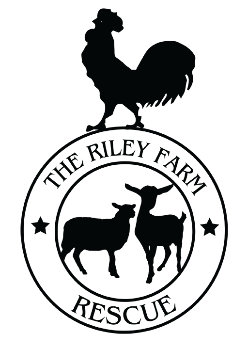 Donation to charity - For Health For Ethics - RILEY FARM RESCUE INC